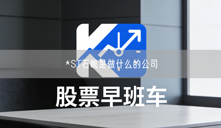 *ST石岘是做什么的公司