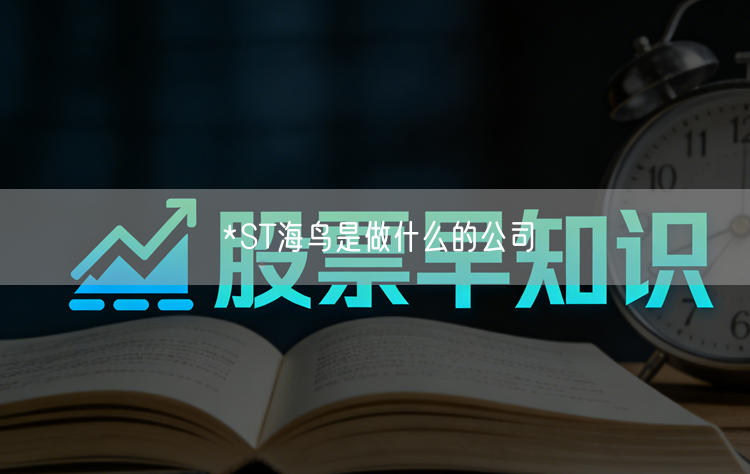 *ST海鸟是做什么的公司