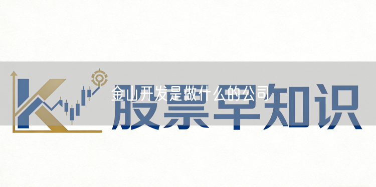 金山开发是做什么的公司
