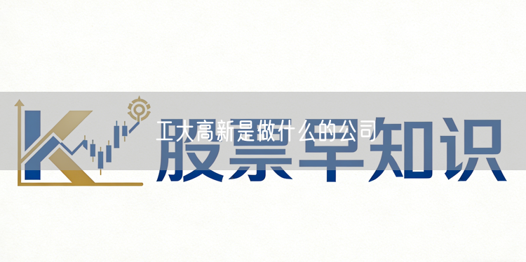 工大高新是做什么的公司