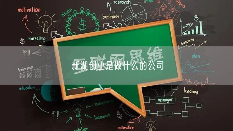 新湖创业是做什么的公司