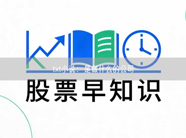 txt小说：是做什么的公司