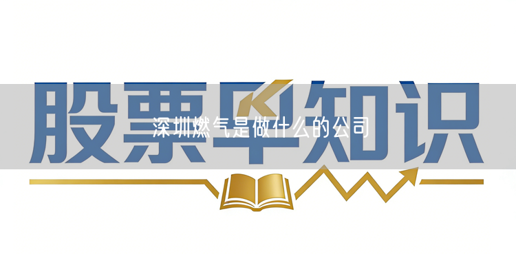 深圳燃气是做什么的公司