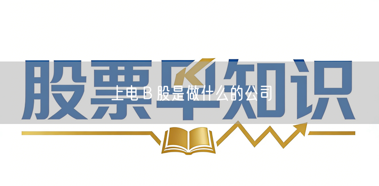 上电Ｂ股是做什么的公司
