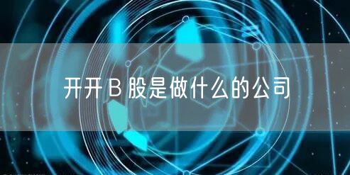 开开Ｂ股是做什么的公司