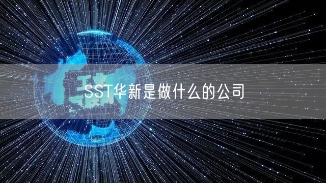 SST华新是做什么的公司