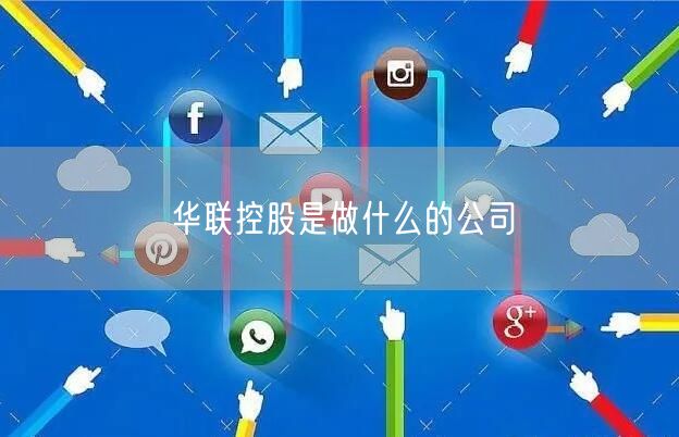 华联控股是做什么的公司