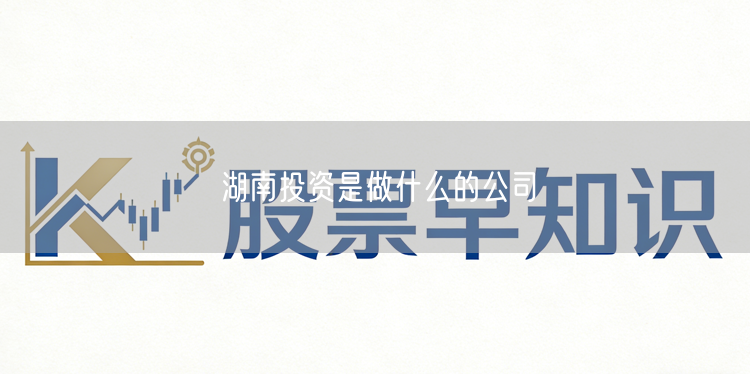 湖南投资是做什么的公司