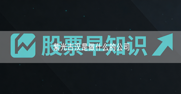 紫光古汉是做什么的公司