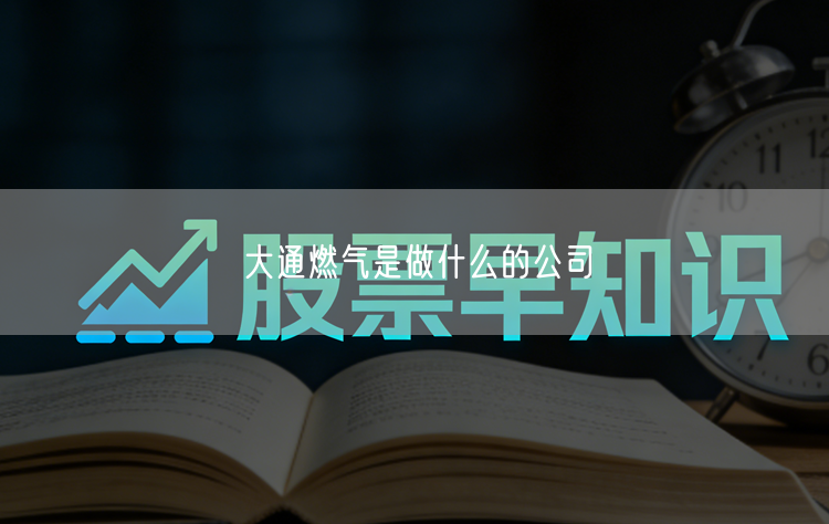 大通燃气是做什么的公司