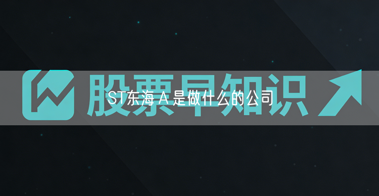 ST东海Ａ是做什么的公司
