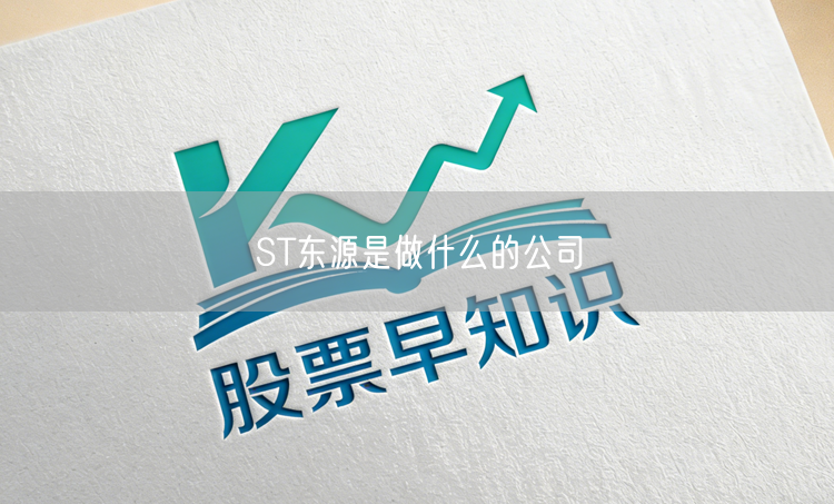 ST东源是做什么的公司
