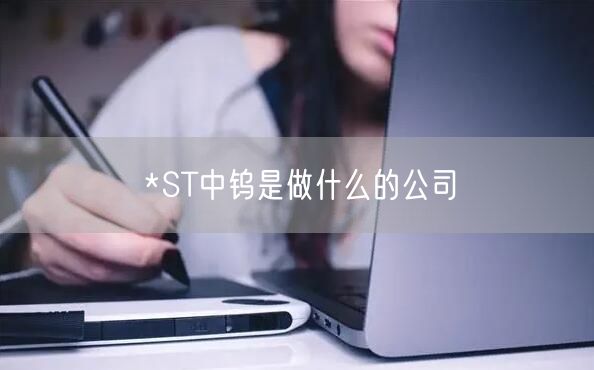 *ST中钨是做什么的公司