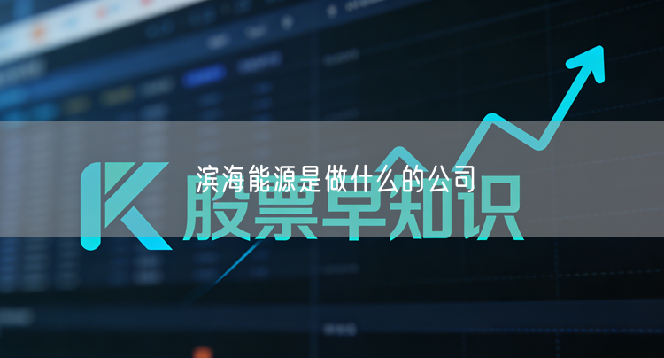 滨海能源是做什么的公司