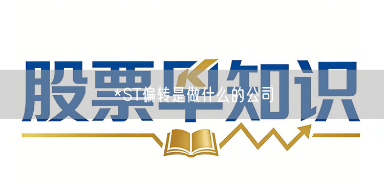 *ST偏转是做什么的公司