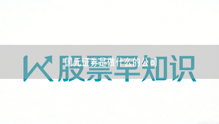 国元证券是做什么的公司