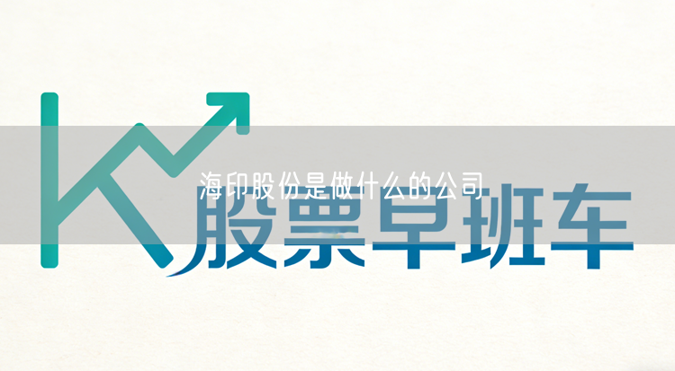 海印股份是做什么的公司