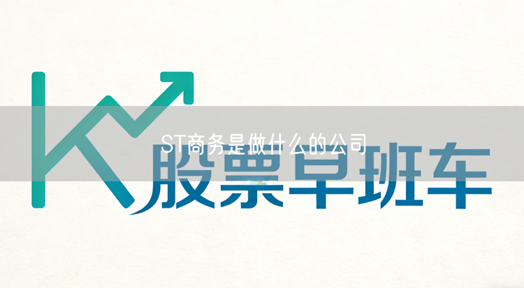 ST商务是做什么的公司