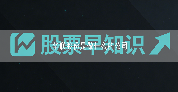华联股份是做什么的公司