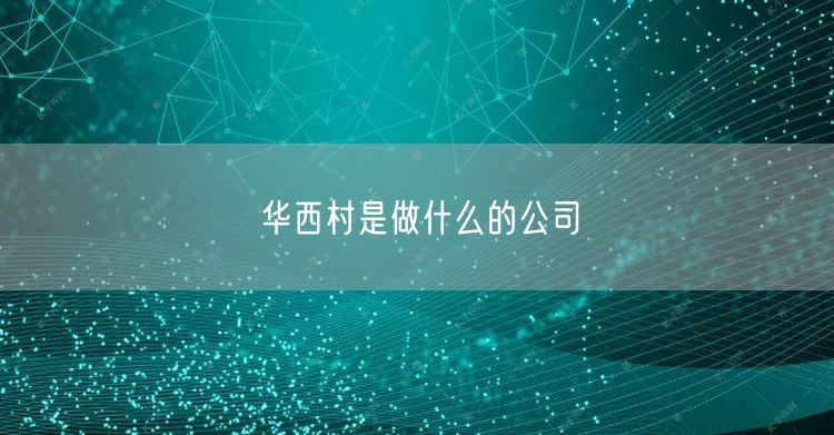 华西村是做什么的公司