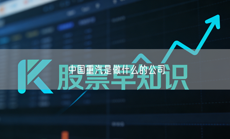 中国重汽是做什么的公司
