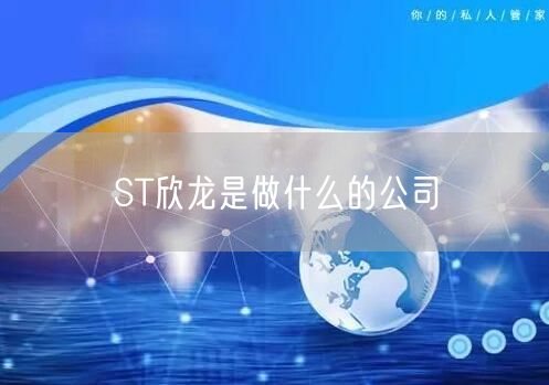 ST欣龙是做什么的公司