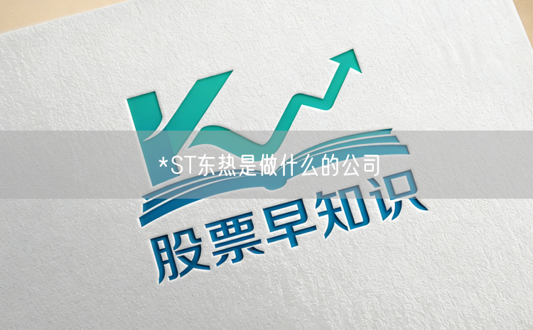 *ST东热是做什么的公司
