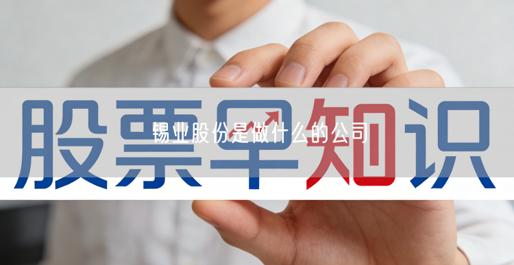 锡业股份是做什么的公司