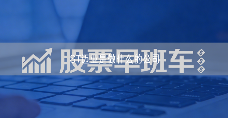 ST迈亚是做什么的公司