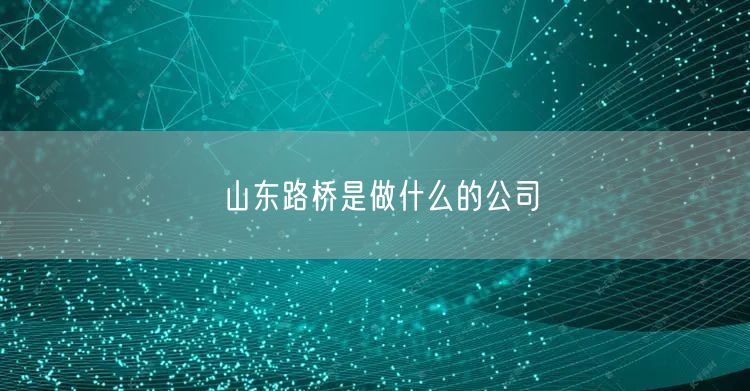 山东路桥是做什么的公司