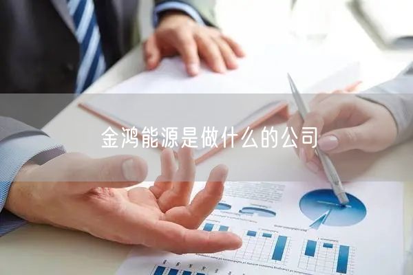 金鸿能源是做什么的公司