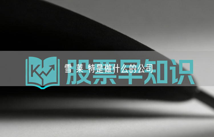 雪 莱 特是做什么的公司