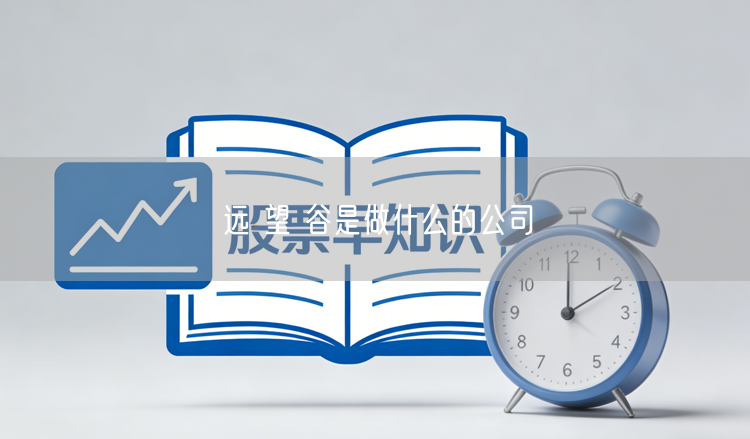 远 望 谷是做什么的公司
