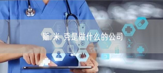 斯 米 克是做什么的公司