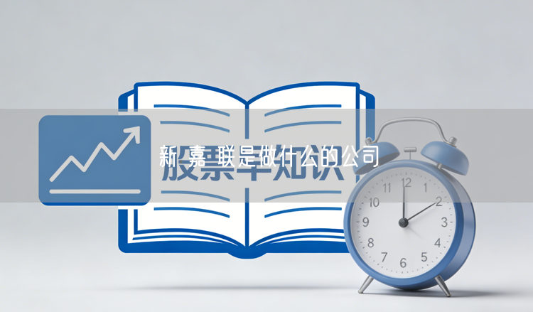 新 嘉 联是做什么的公司