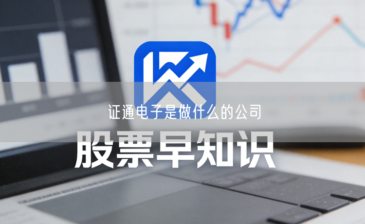 证通电子是做什么的公司
