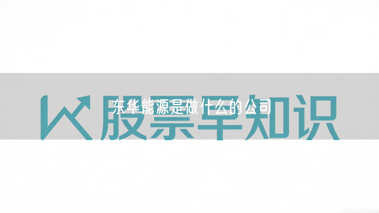 东华能源是做什么的公司