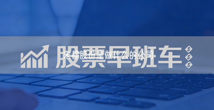 宋都股份是做什么的公司