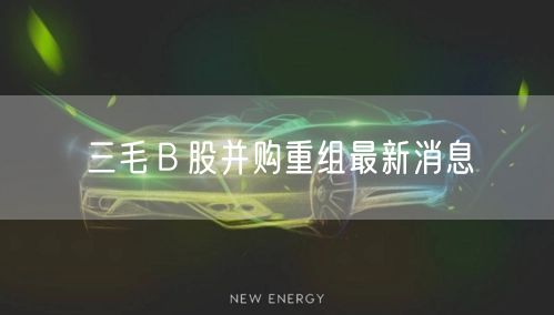 三毛Ｂ股并购重组最新消息