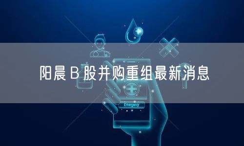 阳晨Ｂ股并购重组最新消息