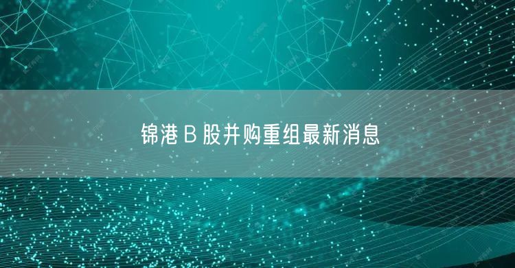 锦港Ｂ股并购重组最新消息