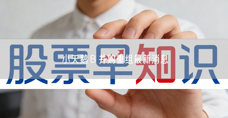 小天鹅Ｂ并购重组最新消息
