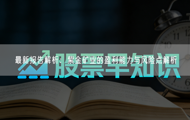 最新报告解析：紫金矿业的盈利能力与风险点解析