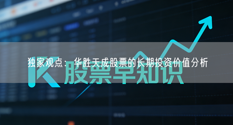 独家观点：华胜天成股票的长期投资价值分析